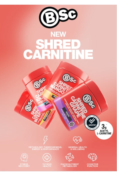 Shred CARNITINE - 300g - BSc Body Science NZ